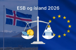ESB-aðild Ísland 2026: Kostir og gallar
